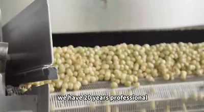Professional Pea & Bean Production: Crafting Crispy, Fragrant Snacks With 20 Years Of Expertise